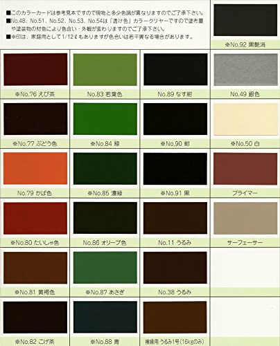 Amazon.co.jp: カシュー:油性漆塗料 カシュー 80ML #92黒艶消 : DIY